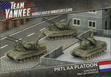 Team Yankee Dutch PRTL AA Platoon (TDBX04)